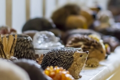 Pretty Maid House Bed & Breakfast Sevenoaks Kent hedgehogs
